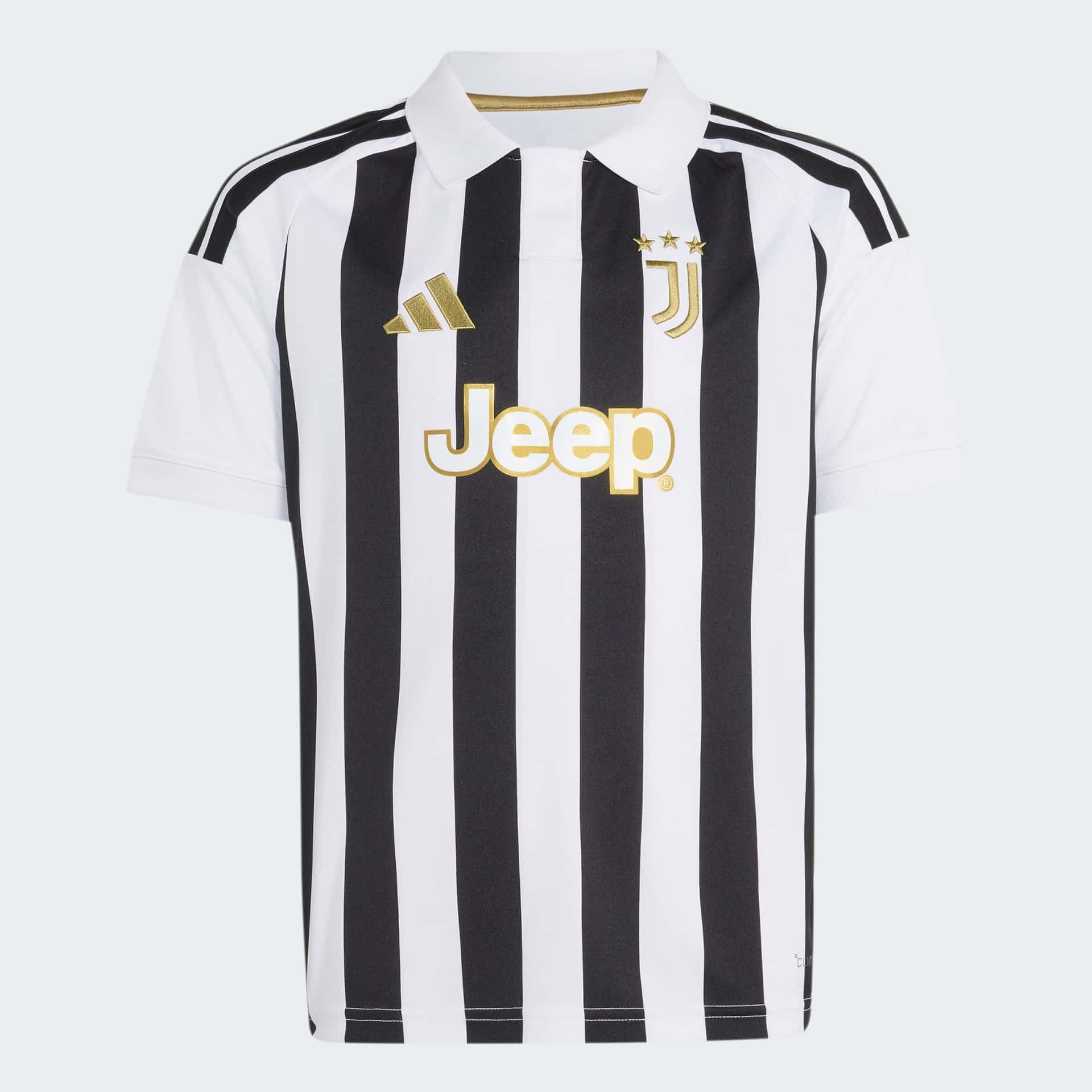 Juventus 25/26 Third Jersey