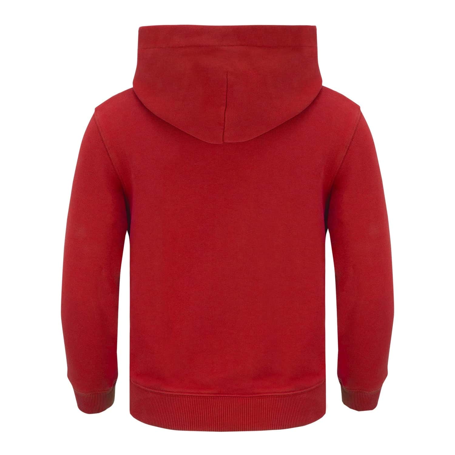 World Cup 2026 Toronto Hoodie (Youth)