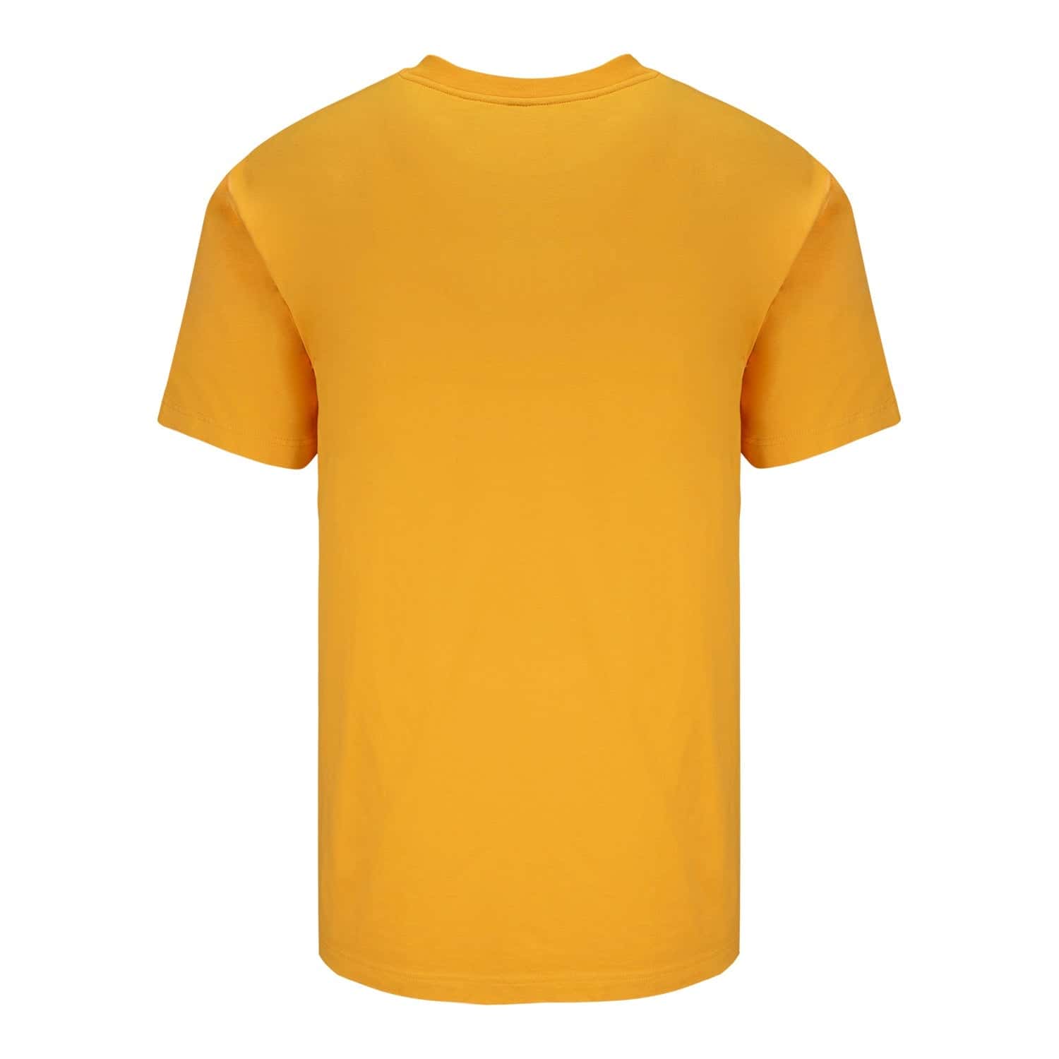 Mexico World Cup 2026 T-Shirt