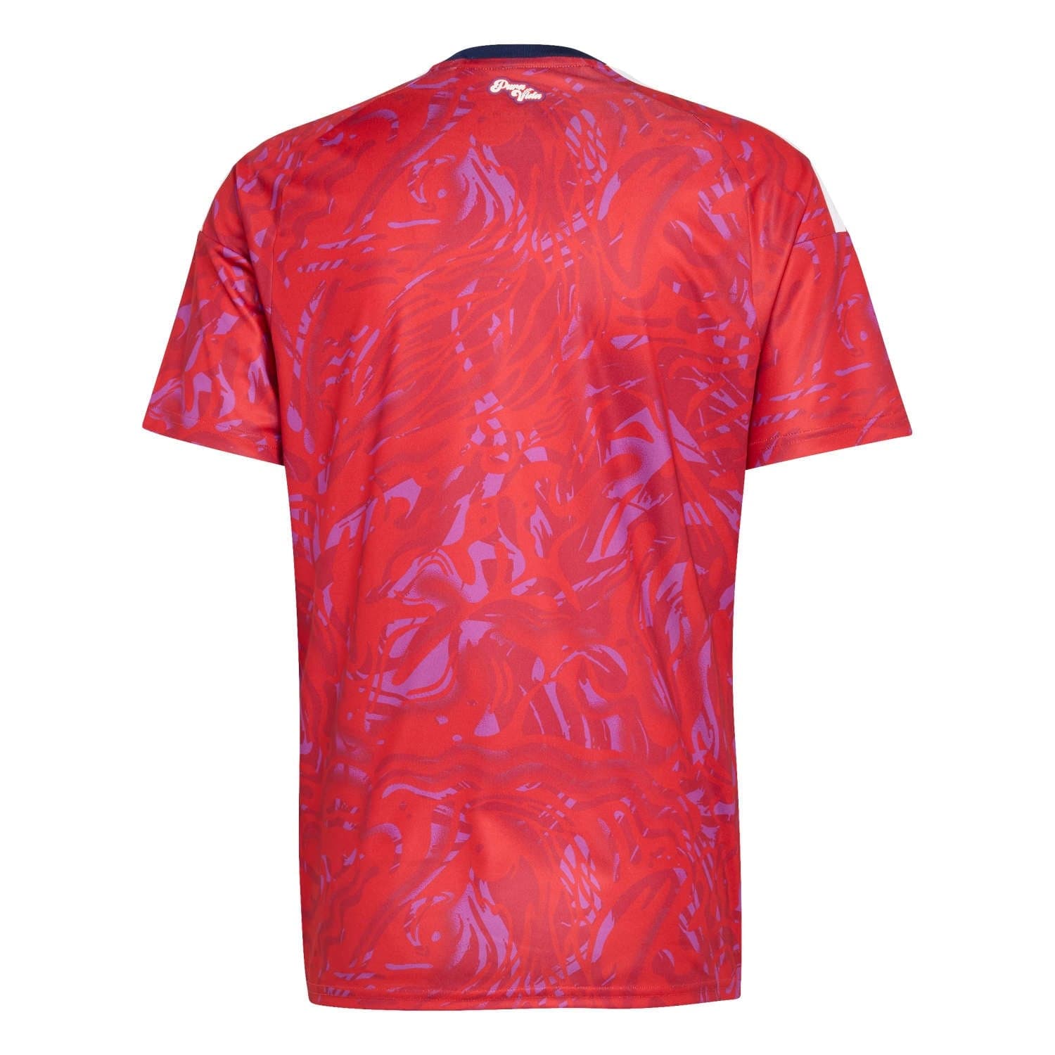 Costa Rica World Cup 2026 Home Jersey alternate