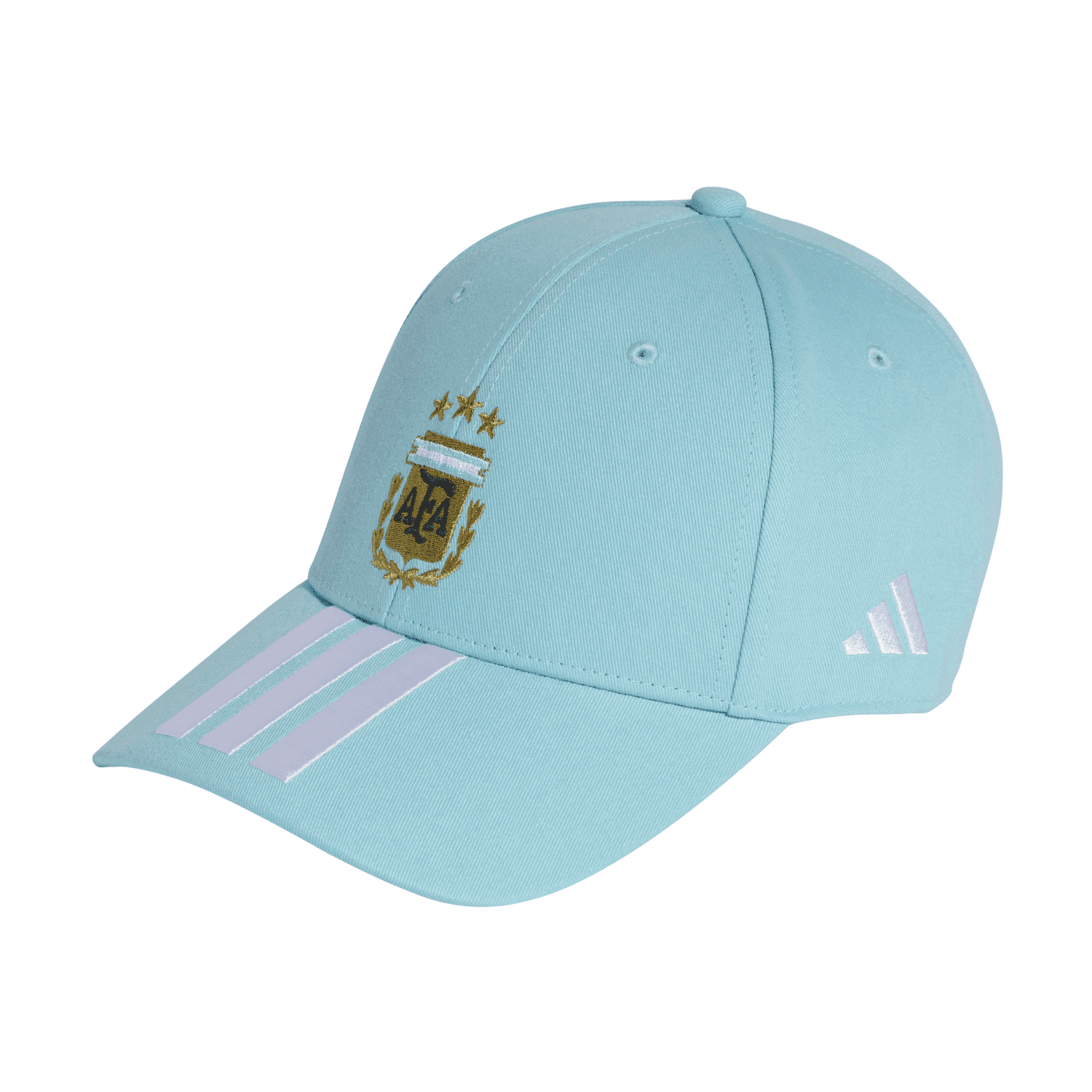 Argentina World Cup 2026 Caps & Hat